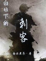 白日下的刺客封面图片