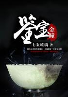 鉴宝金瞳封面图片