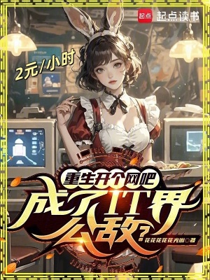 重生开个网吧，成了IT界公敌？封面图片