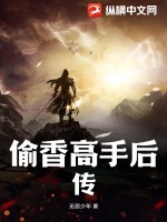 偷香高手后传封面图片