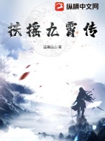 扶摇九霄传封面图片