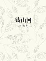 铸山河封面图片