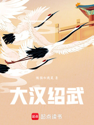大汉绍武封面图片