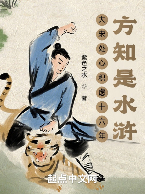 大宋处心积虑十六年，方知是水浒封面图片